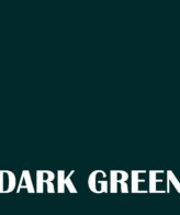 NANOLIT  Epoxy based pigment paste 50 gm SHADE (Dark Green)