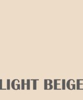 NANOLIT  Epoxy based pigment paste 50 gm SHADE (Light Beige)