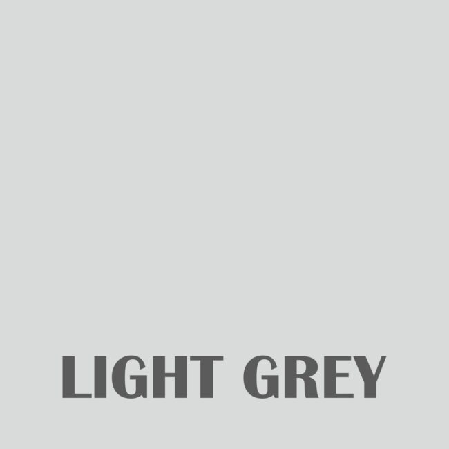 NANOLIT  Epoxy based pigment paste 50 gm SHADE (Light Silver)